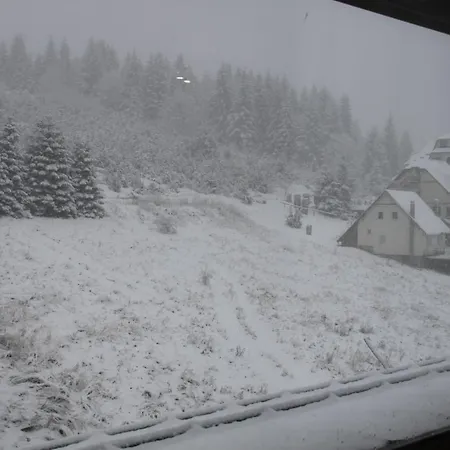 Jasmin President Kop